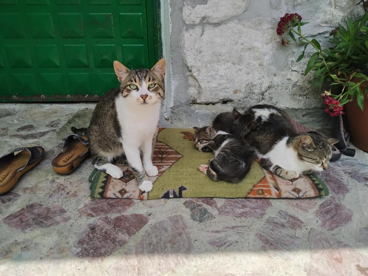 Guesthouse Shtini Fshat Zewnętrze zdjęcie