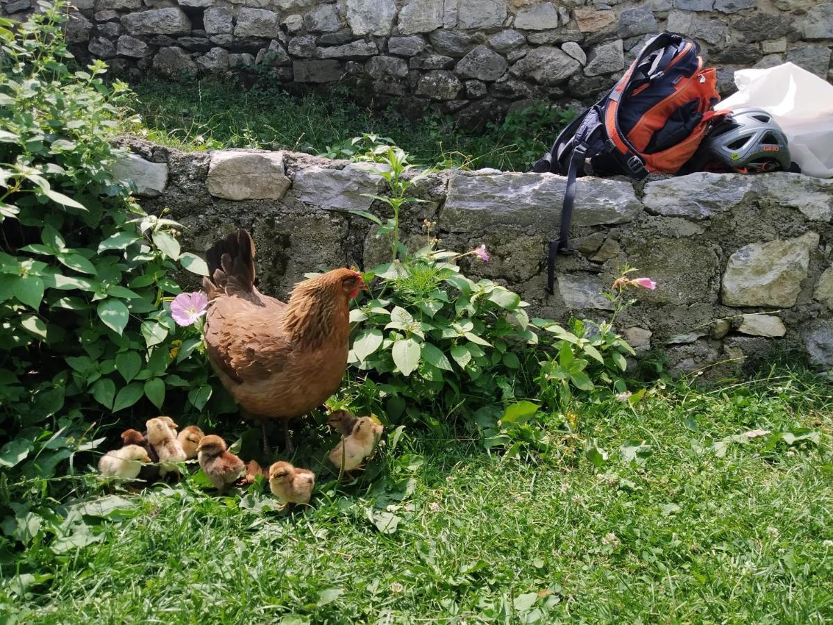 Guesthouse Shtini Fshat Zewnętrze zdjęcie